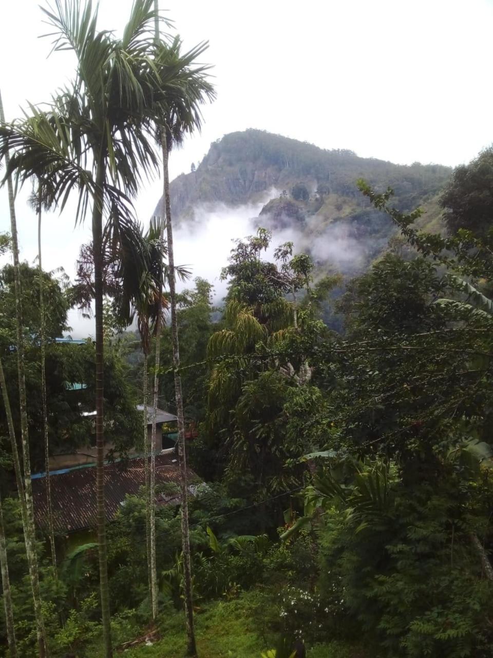 Misty Heaven Acomodação com café da manhã Ella Exterior foto